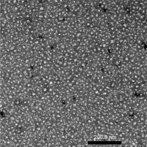 Figure 2 Transmission electron microscopy image of Gd-DTPA/DACHPt-loaded micelles, the Gd-DTPA/DACHPt-loaded micelles come out as white spots.Abbreviations: DACHPt, (1,2-diaminocyclohexane)platinum(II); Gd-DTPA, gadolinium-diethylenetriaminpentaacetic acid.