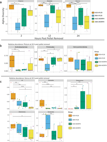 Figure 5. Microbiome after antibiotic treatment. 16s RNA sequencing results of the alpha diversity measured by the Shannon alpha diversity index and plotted in box plots (a). Significance between groups is labeled with *p < .05, **p < .01, ***p < .001. Box plots of the relative abundance of the phylum at 24 h post pellet removal and Wilcox statistical analysis (b). The significant results are indicated by *p < .05, **p < .01, all other differences are not statistically significant. Relative abundance of the genus is displayed in box plot with significant results, of the Wilcox statistical analysis, displayed with *p < .05, **p < .01, ***p < .001, all other differences are p > .05. For all graphs in this figure have an n = 7–9 with four replicates of n = 2–3 per group.