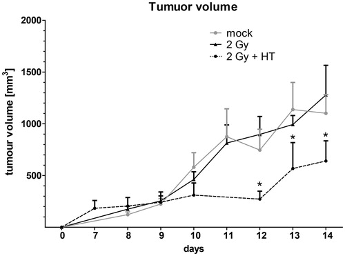 Figure 3. Impact of fractionated radiotherapy and hyperthermia on tumour volume of B16-F10 tumours in C57BL6 mice. The growth of syngeneic B16-F10 tumours in wild-type C57/BL6 mice is displayed. The tumours were locally irradiated on days 8, 9 and 10 with a clinically relevant single dose of 2 Gy using a linear accelerator. Hyperthermia (HT) was performed 4 h after irradiation on days 8 and 10. For this, the mice were heated locally under temperature control to 41.5 °C for 30 min. An electronic caliper was used to monitor the tumour volume. Joint data of three independent experiments, each with two mice per group, are presented as mean ± SD. *p < 0.05 related to mock-treated tumours.