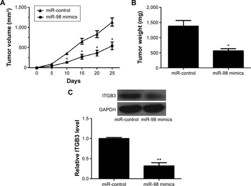 Figure 4 miR-98 suppresses tumor formation in vivo.