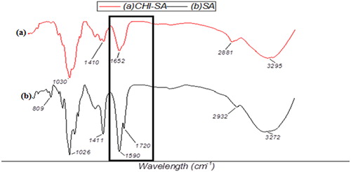 Figure 6. FTIR spectrum of CHI-SA and SA.