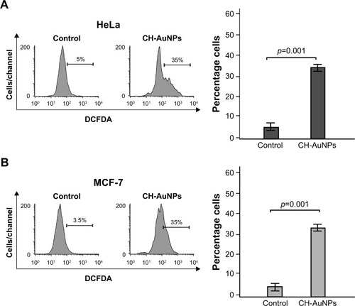 Figure 8 ROS production in HeLa and MCF-7 cells upon treatment with CH-AuNPs.Notes: ROS levels were measured by flow cytometry through DCFDA staining in HeLa (A) and MCF-7 (B) cells left alone or treated with CC50 of CH-AuNPs for 24 hours (left). Data were then analyzed and graphed (right).Abbreviations: CH-AuNPs, chitosan gold nanoparticles; DCFDA, dichlorodihydrofluorescein diacetate; ROS, reactive oxygen species.