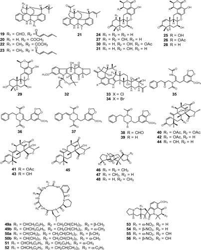 Fig. 2. Structures of bioactive fungal metabolites. Notes: Insecticidal compounds: communesins A (22), B (23), D (19), E (20), and F (21); chrodrimanins A (25), B (26), C (24), D (27), E (28), F (29), G (30), and H (31); convulsive compounds: verruculogen (32); penitrem A (33); 6-bromopenitrem E (34); brasiliamides A (35), B (36), C (37), D (38), and E (39); acetoxydehydroaustin (40), austin (41), dehydroaustin (42), austinol (43), dehydroaustinol (44), and neoaustin (45); paralytic compounds: asperparalines A (46), B (47), and C (48); PF1171 A (49a), epi-PF1171A (49b), PF1171B (50a), epi-PF1171B (50b), PF1171F (51), and PF1171 G (52); cyclopiamines A (53), B (54), C (55), and D (56).