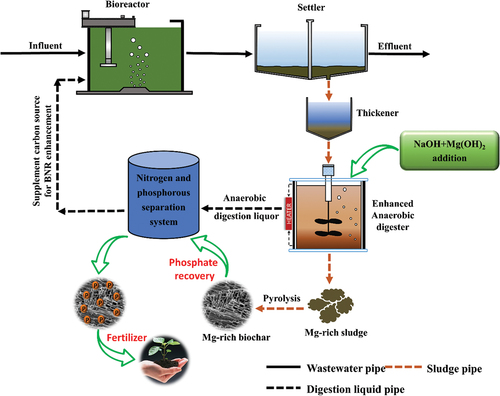 Figure 6. Proposed closed-loop integration system with NaOH + Mg(OH)2-based anaerobic digestion and thermal pyrolysis in WWTPs.